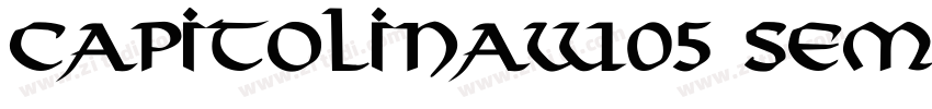 CapitolinaW05 SemiBo字体转换